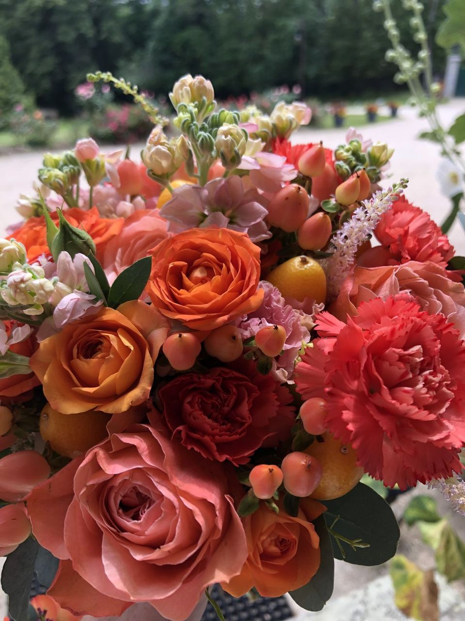 Garden Fresh Collection